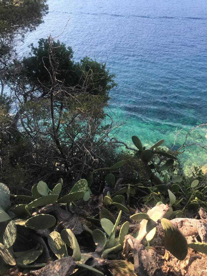 Il Polpoleo In Porto Azzurro Isola D'Elba Apartment Bagian luar foto